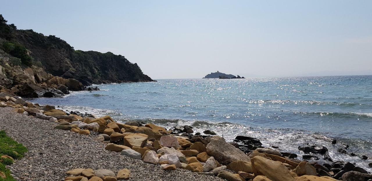 Direttamente Sulla Spiaggia Castiglione della Pescaia Eksteriør bilde