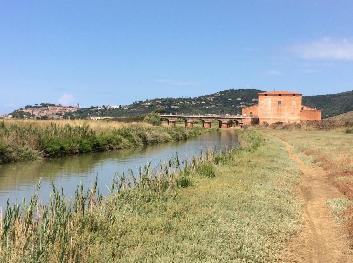Direttamente Sulla Spiaggia Castiglione della Pescaia Eksteriør bilde